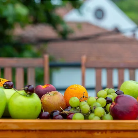 Дом отдыха Mateus House - Center